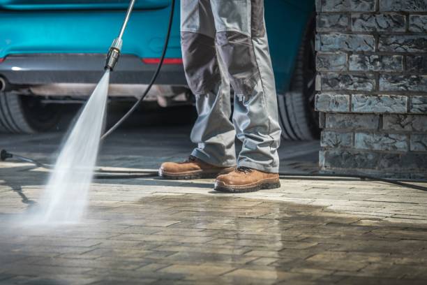 Best Soft Washing for Delicate Surfaces in Flowing Wells, AZ